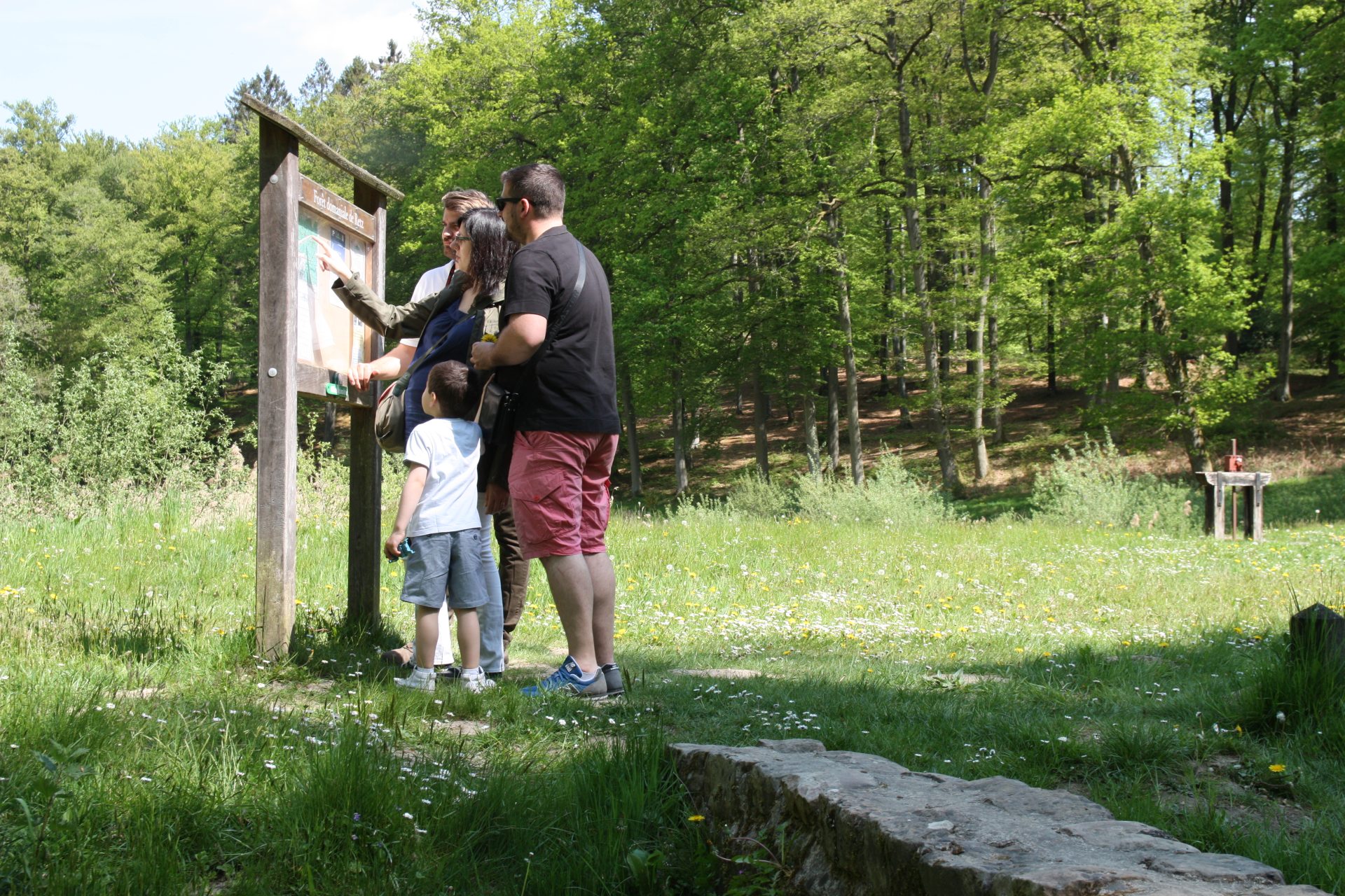 La forêt de Retz, un voyage au cœur de la nature